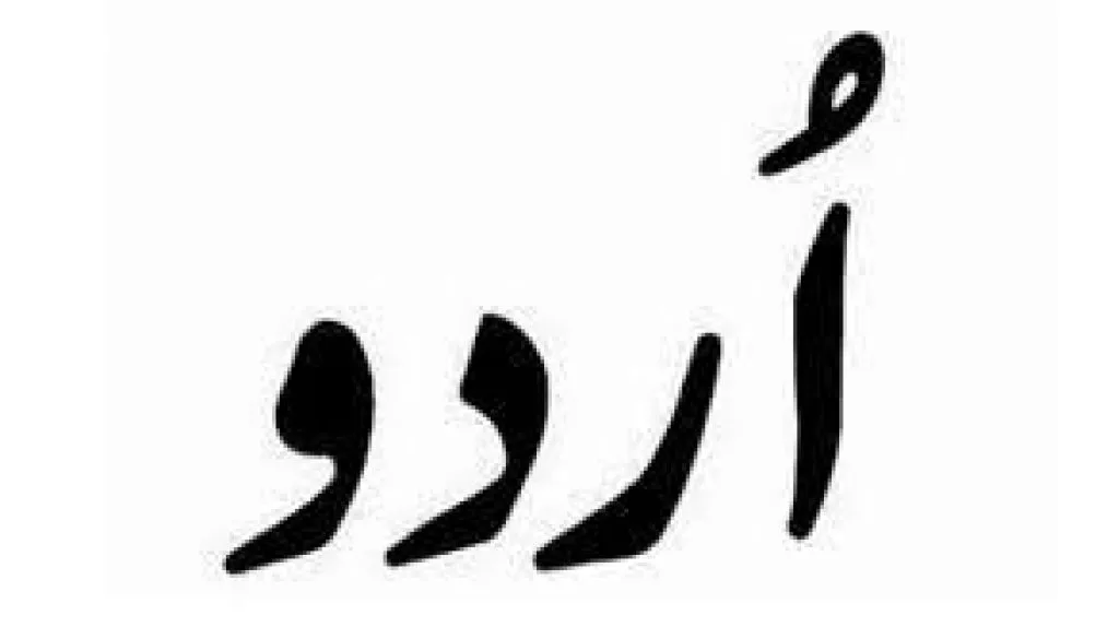 all in one urdu classes