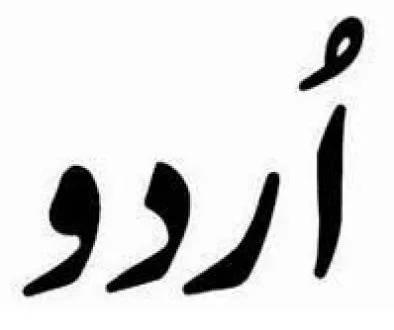 all in one urdu classes